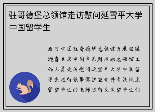 驻哥德堡总领馆走访慰问延雪平大学中国留学生
