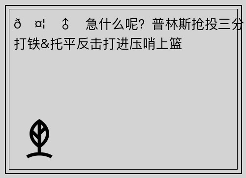 🤦‍♂️急什么呢？普林斯抢投三分打铁&托平反击打进压哨上篮